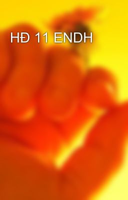 HĐ 11 ENDH