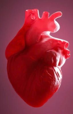 Heart