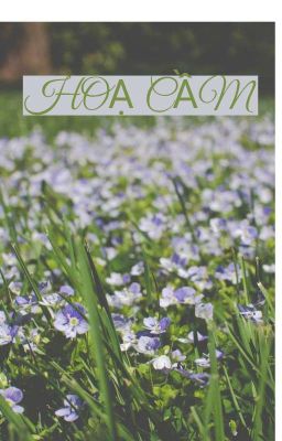 Hoạ Cầm