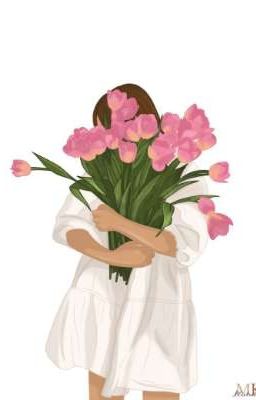 Hoa Tulip