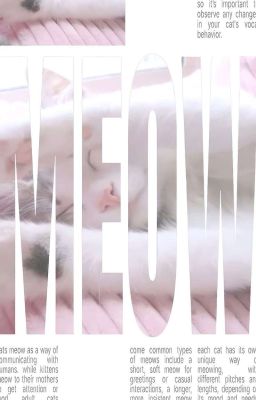 học hôn cấp tốc