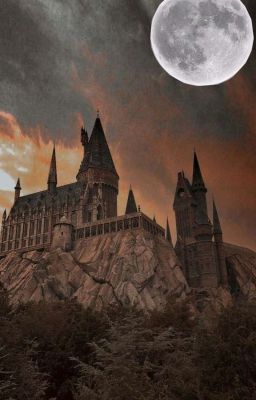 ꒰Hogwarts Boy x Reader꒱