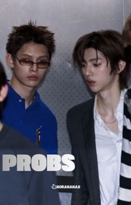 hoonjames | probs