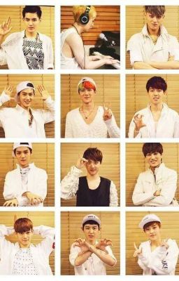 [IMA-EXO]
