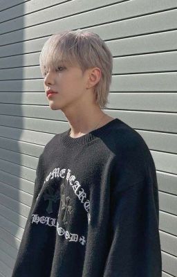 imagine • hoshi🐯