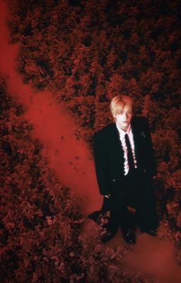 JAKEKI | bloom