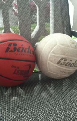 [Keria] 🏐🏀📝