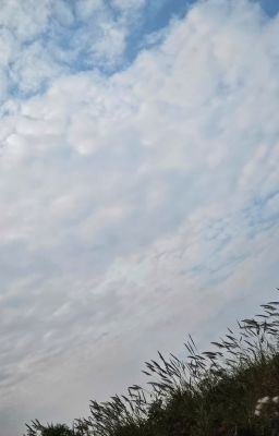 Ký sự