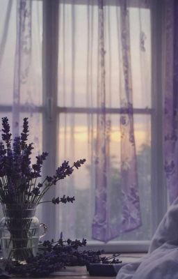 Lavender
