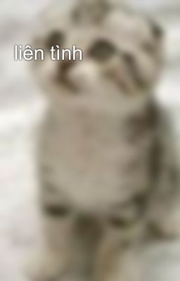 liên tình