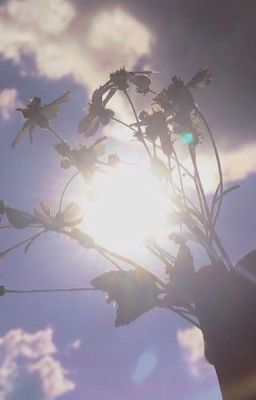 Light