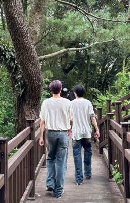 Lụy