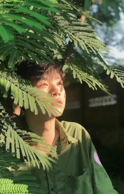 masonb | hoa sữa