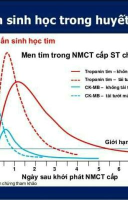 men tim