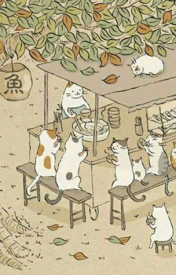 Mèo 