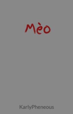 Mèo