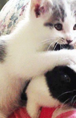 mew