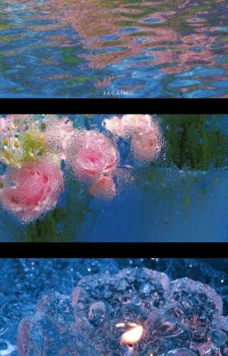 [milkcarrot | limerence]