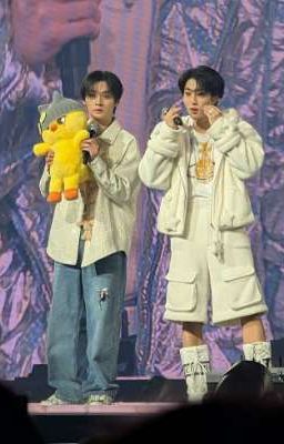 『Minsung』Hận