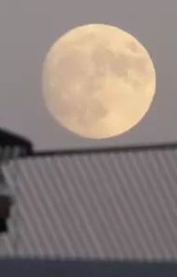 Moonfall