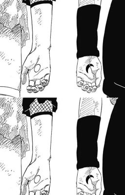 [narusasu] mộng đẹp