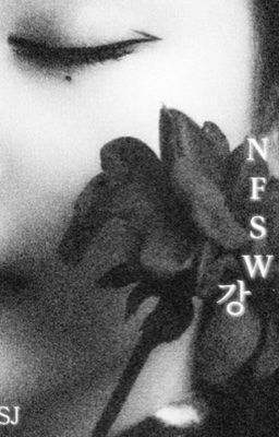 nfsw. ; 강