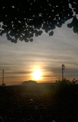 ngày ấy