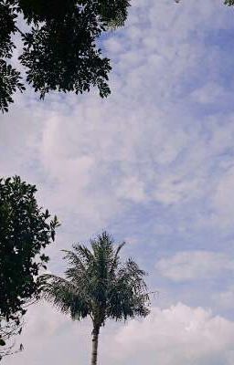 Ngày dài