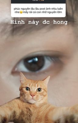 Nhẫn