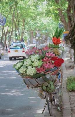 nứng