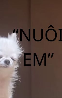 Nuôi em