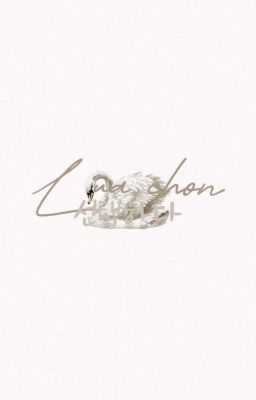 [ Oner ] Lựa chọn - 선택하다
