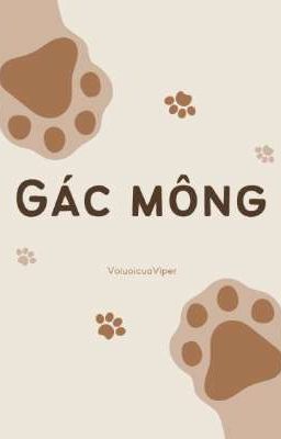 [PERLIGHT] ||  GÁC MÔNG