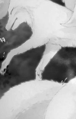 Pernut | fox rain 