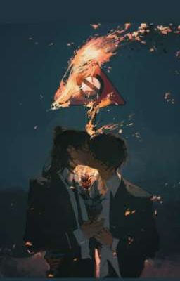 Phản phản xạ
