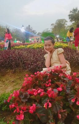 phương vy