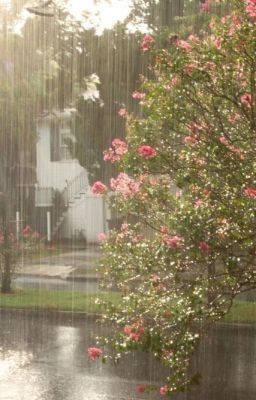 pluviophile