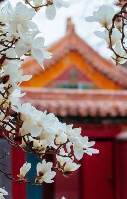 [RR] Phận mỏng