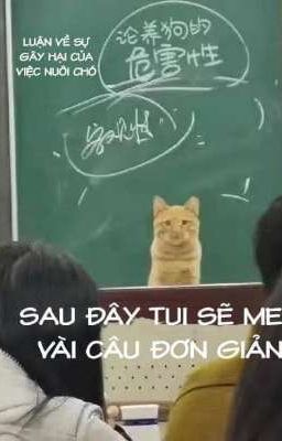 [Runut/Pernut]😇