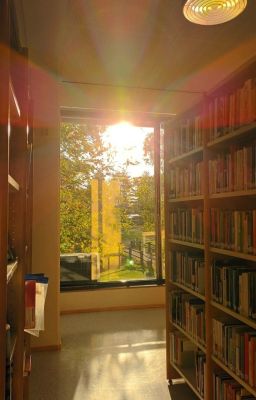 sb | sunbeams
