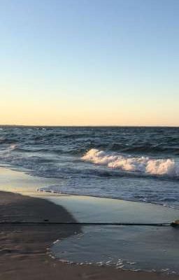 sea