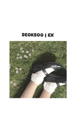 seoksoo <textfic> | ex