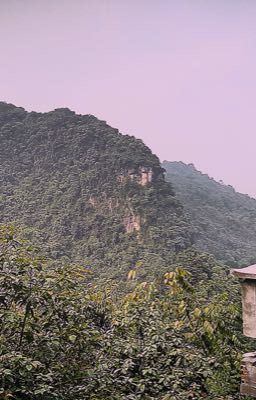 Số Đời