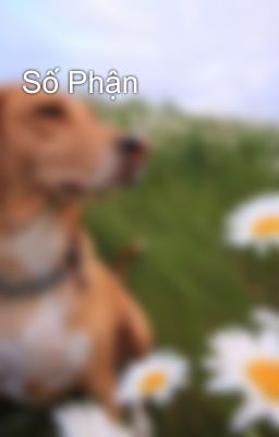 Số Phận