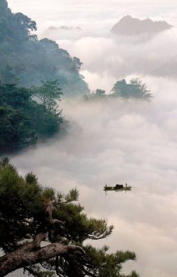 Sở sương