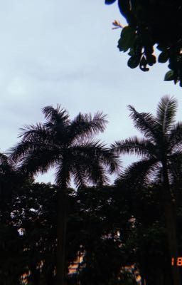 Something bout' my mind