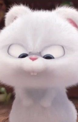 Sr H