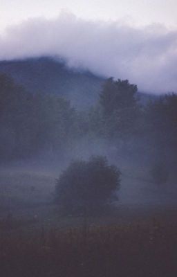 sương