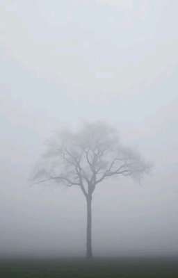 Sương