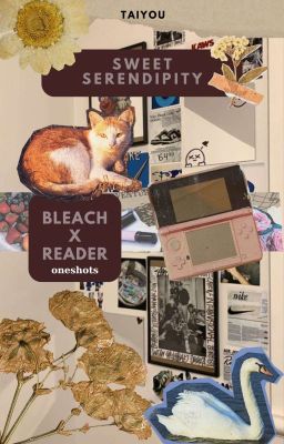 Sweet Serendipity|BleachxReader|